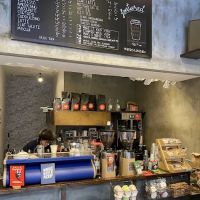 Birch Coffee ico