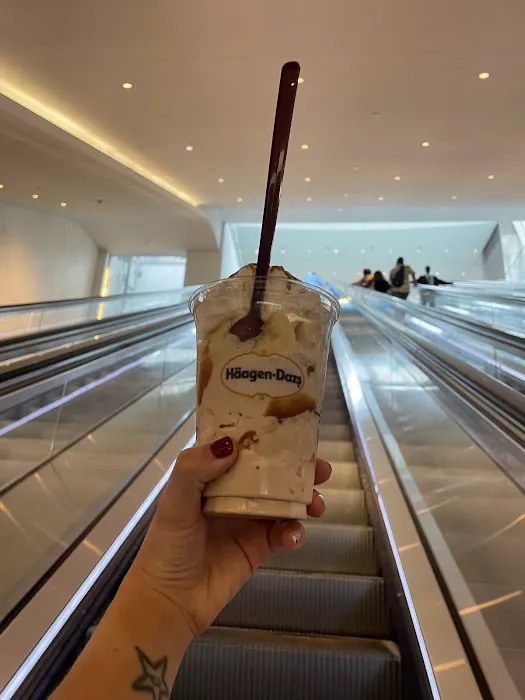 Häagen-Dazs Picture 4