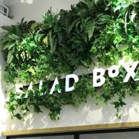 Salad Fox ico