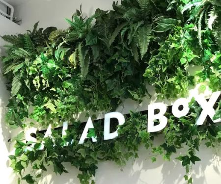 Salad Fox