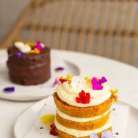 Ol'Days Farm to Table Tribeca ico