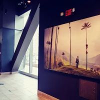 Starbucks ico