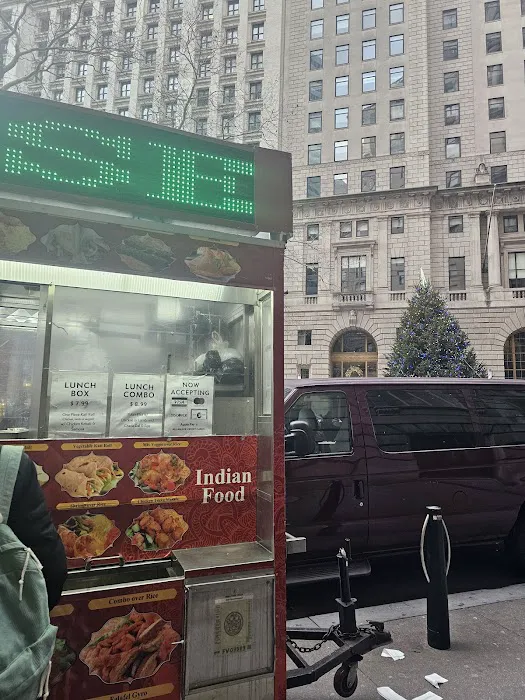 Halal Indian Food and Gyro Truck Picture 8