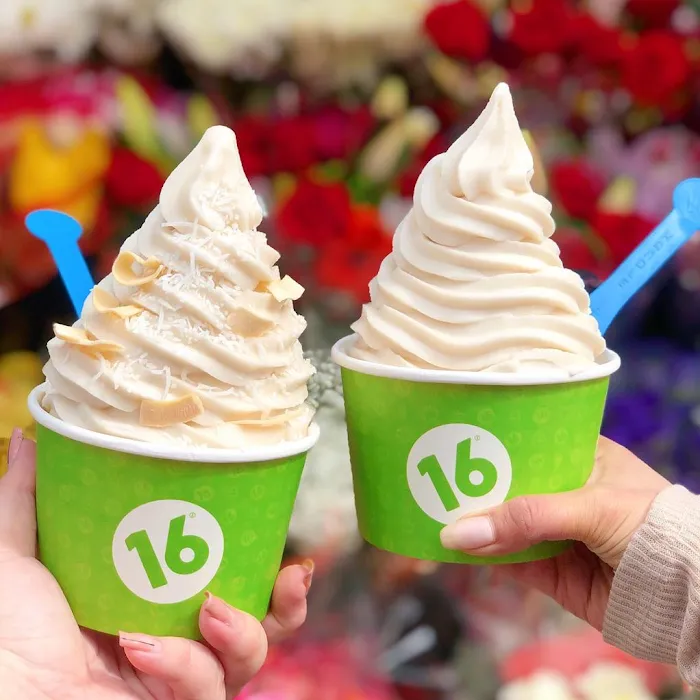 16 Handles Picture 6