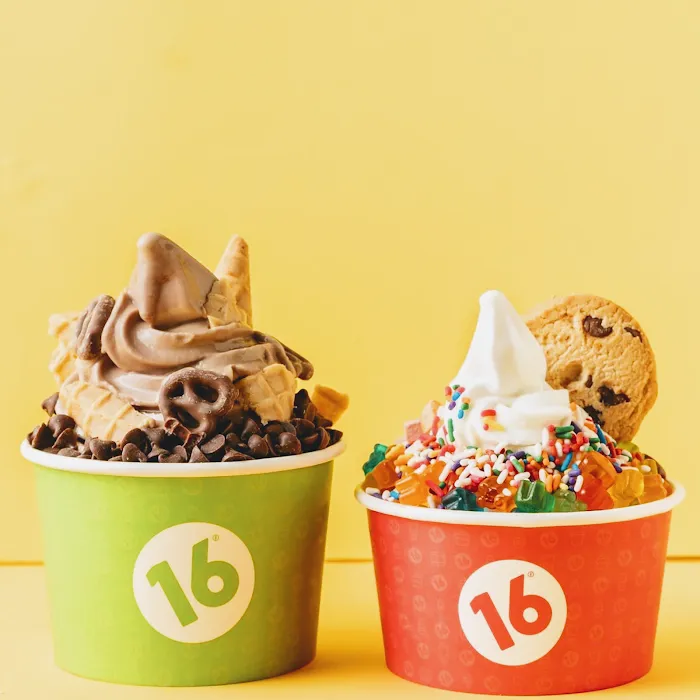 16 Handles Picture 4