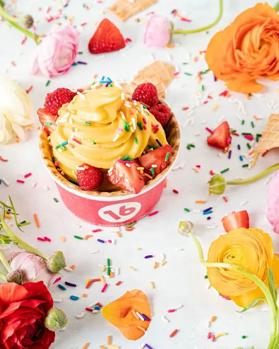 16 Handles Picture 5