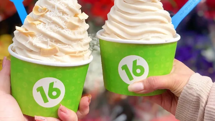 16 Handles Picture 1