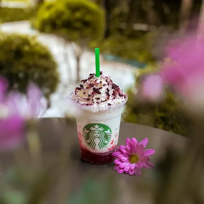 Starbucks Picture 9