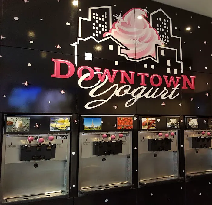 Downtown Yogurt Tribeca Picture 6