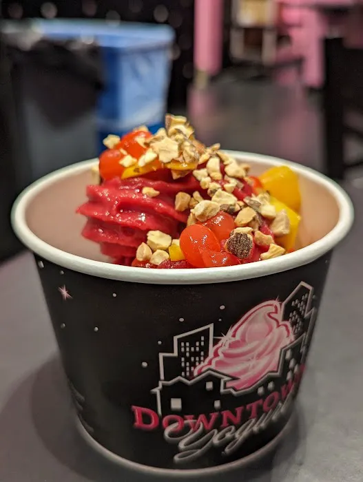 Downtown Yogurt Tribeca Picture 1