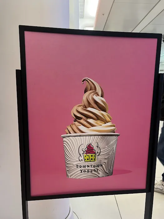Downtown Yogurt World Trade Center Picture 1