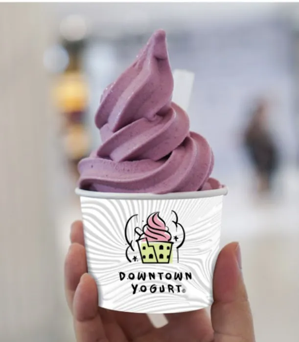 Downtown Yogurt World Trade Center Picture 4