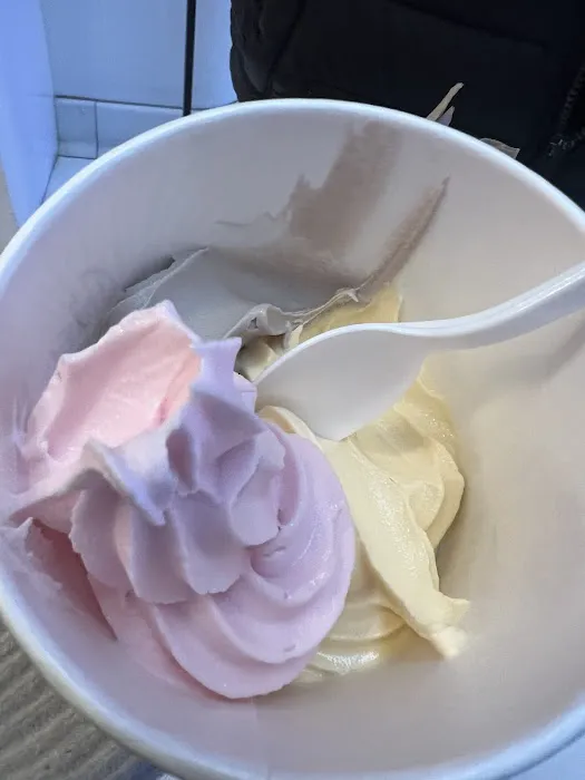 Downtown Yogurt World Trade Center Picture 6