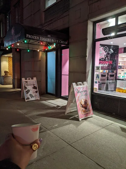 Downtown Yogurt World Trade Center Picture 3
