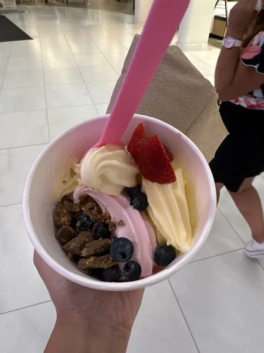 Downtown Yogurt World Trade Center Picture 9
