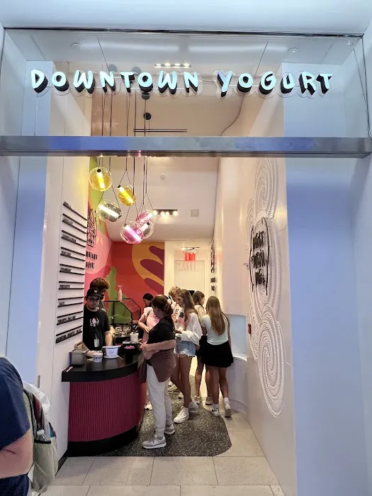 Downtown Yogurt World Trade Center Picture 8