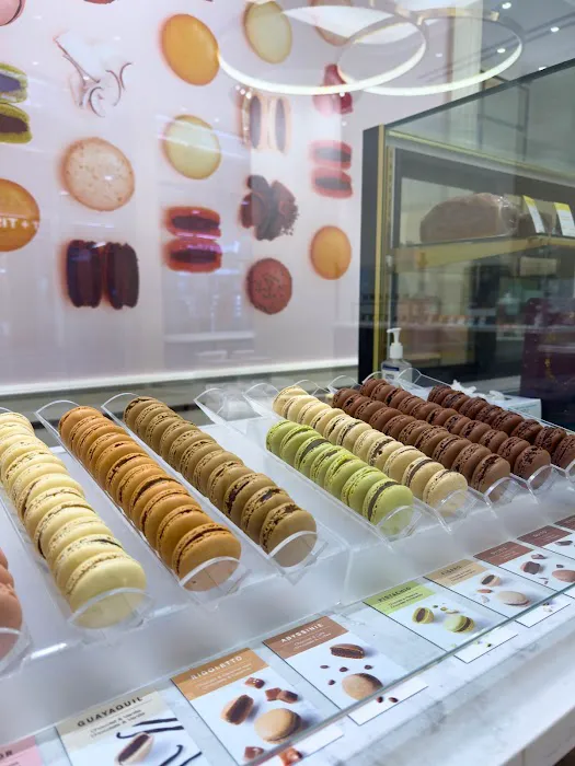 La Maison du Chocolat World Trade Center Picture 8