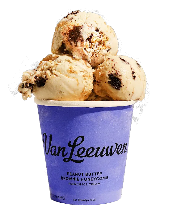 Van Leeuwen Ice Cream Picture 4