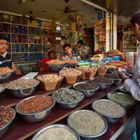 Halah Food Cart ico