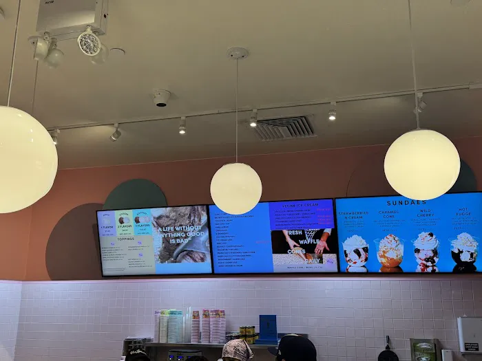 Van Leeuwen Ice Cream Picture 7