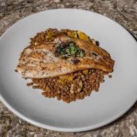 Tara Kitchen Tribeca ico