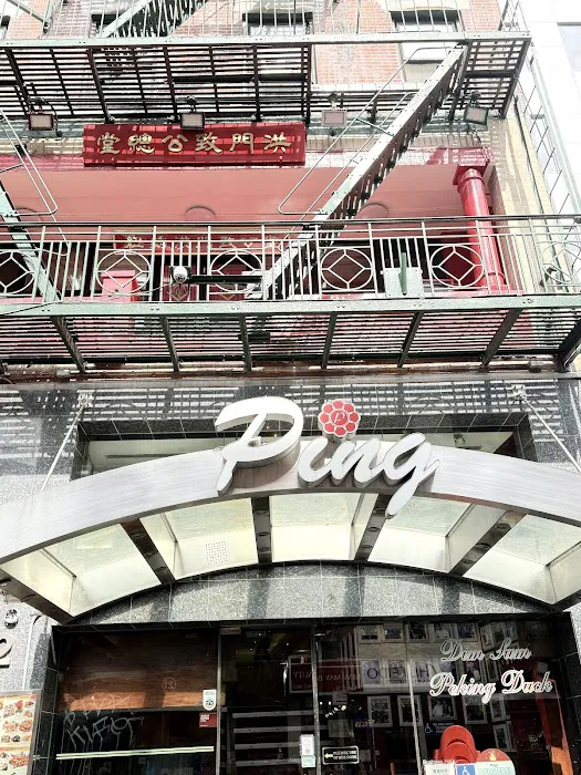 Ping’s Picture 10