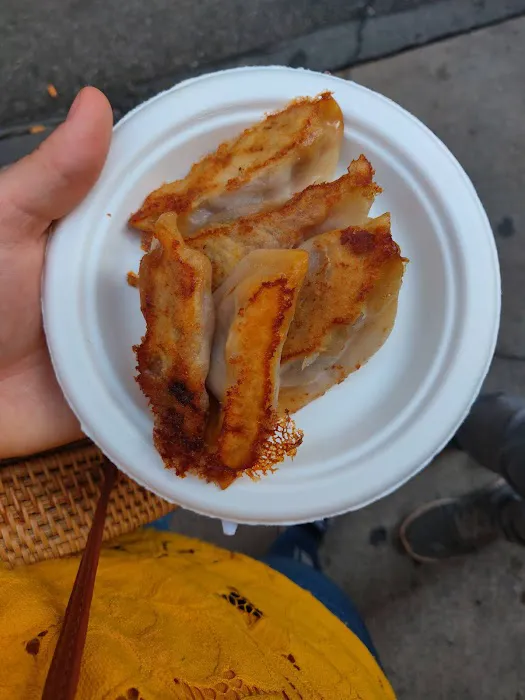 Fried Dumpling Picture 3