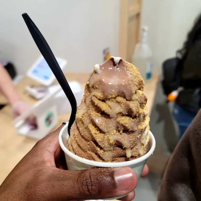 Taiyaki NYC Japanese Ice Cream Picture 4