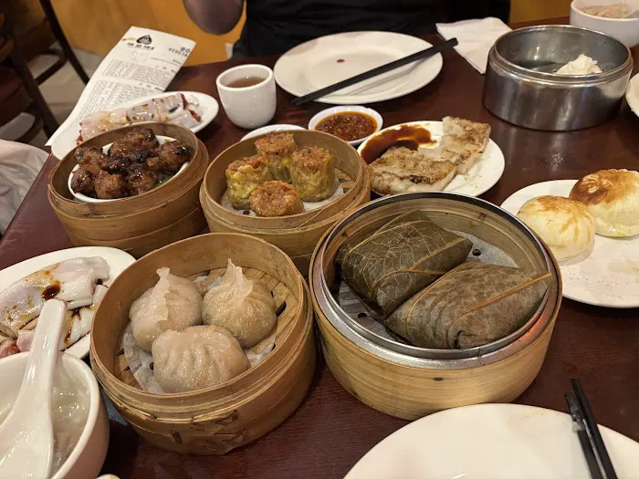 Bodhi Kosher Vegetarian Restaurant Picture 2