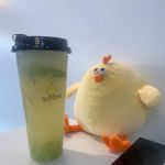 Chill Chick