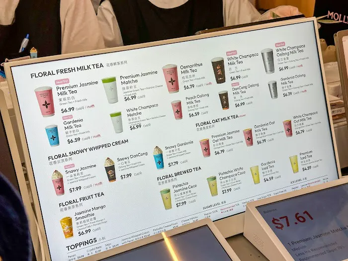 Molly Tea (Manhattan Chinatown) Picture 10