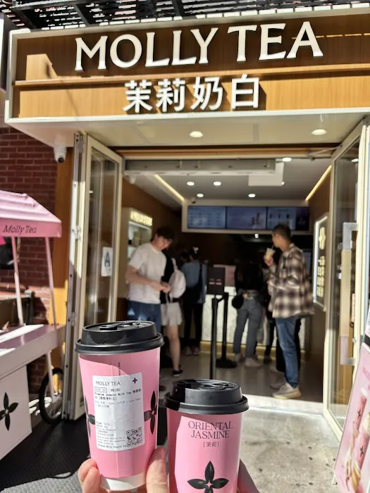 Molly Tea (Manhattan Chinatown) Picture 7