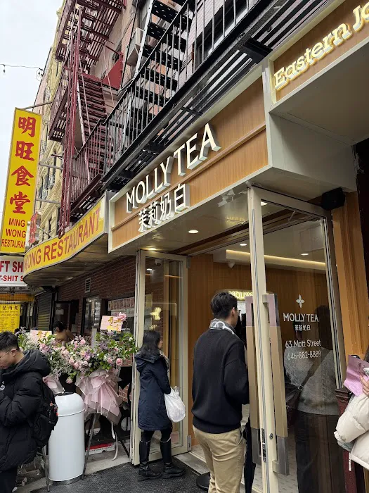 Molly Tea (Manhattan Chinatown) Picture 4