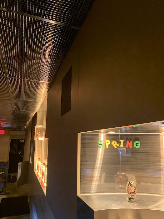 Spring Bar Picture 5