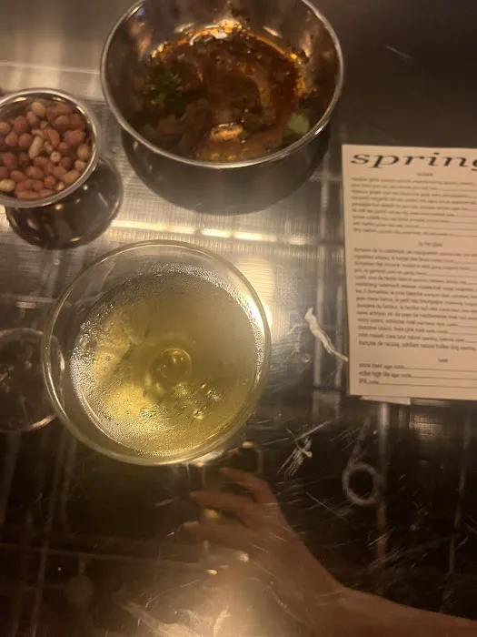 Spring Bar Picture 4