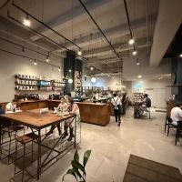 Black Fox Coffee ico