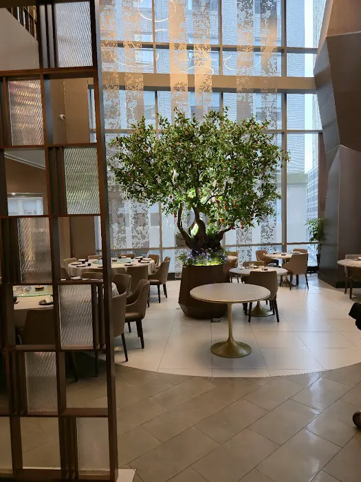 YAO Modern Cantonese Cuisine 富瑤 Picture 4