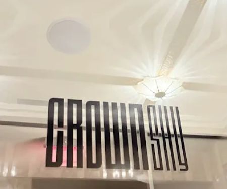 Crown Shy