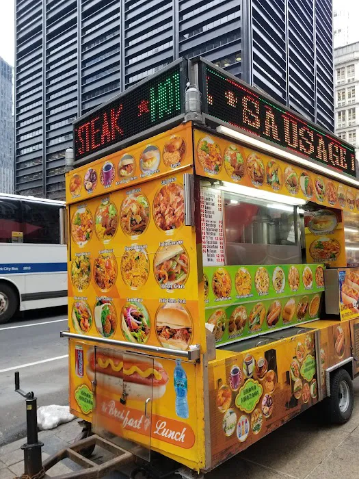 Khana Khazana Food Cart Picture 6