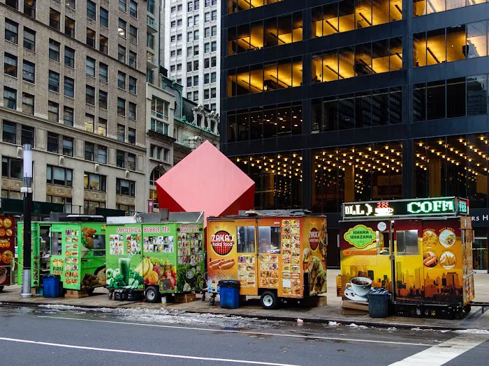 Khana Khazana Food Cart Picture 7
