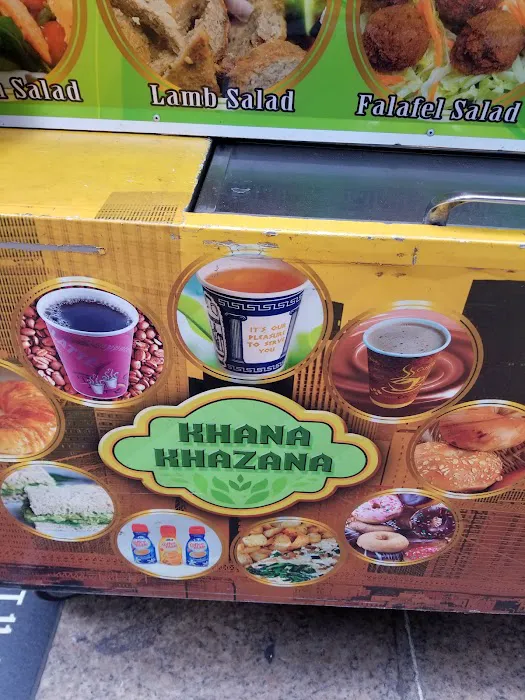 Khana Khazana Food Cart Picture 4