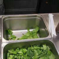 Gyro House ico