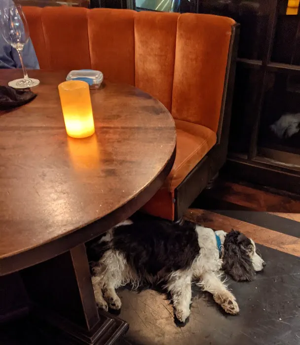 The Oyster Bar Picture 7