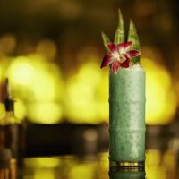 The Oyster Bar ico
