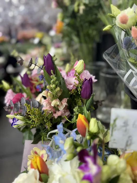 Open Market Picture 2