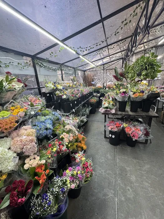 Open Market Picture 5