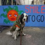 Smile To Go