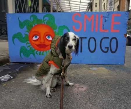 Smile To Go