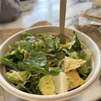 Chopt ico