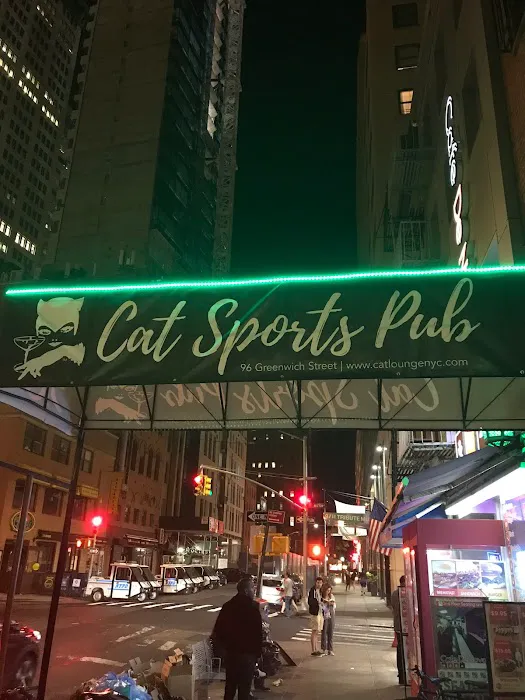 Cat Lounge NYC Picture 5